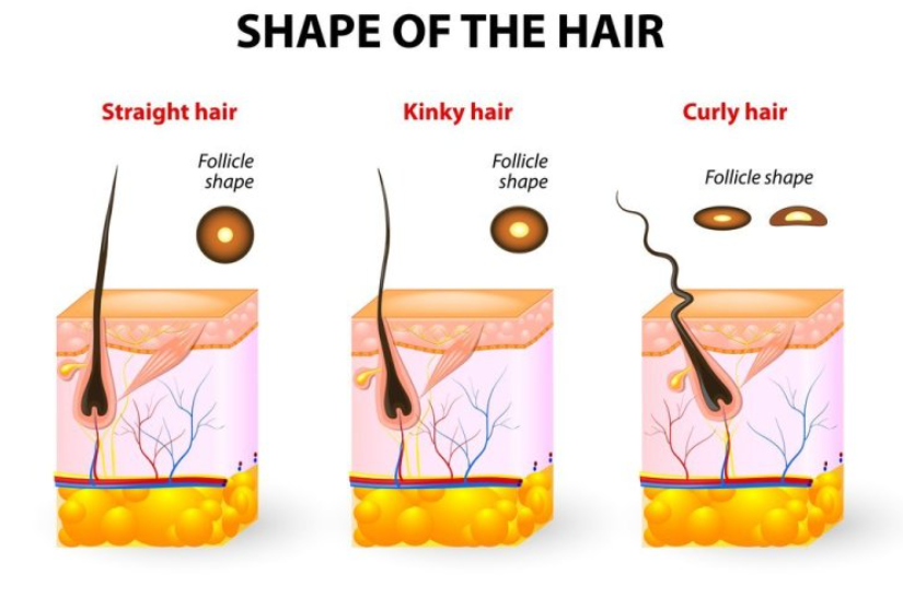 Natural Hair Products For Black Hair Growth in 2025 Screenshot 2024 04 22 111223